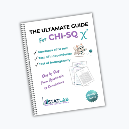Ultimate Guide Chi-Sq Tests